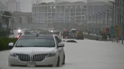 Dubai floods: Flight disruptions continue, school closures extended till April 19