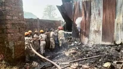 വന് അഗ്നിബാധ; പെരുമ്പാമ്പും ആമയും ചത്തു, തീയണച്ചത് മൂന്ന് മണിക്കൂറിന് ശേഷം