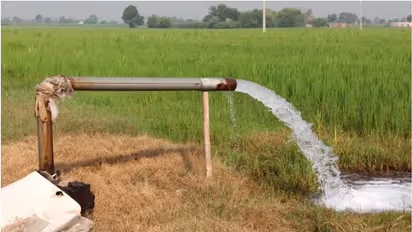 Agricultural Loans Guide: കാര്ഷിക വായ്പകള് ഏതൊക്കെ, എങ്ങനെ അപേക്ഷിക്കാം, വേണ്ട രേഖകള് എന്തൊക്കെ?