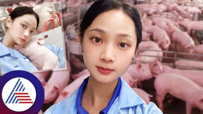 ಲಕ್ಷಾಂತರ ರೂ. ಸಂಬಳ ಬರೋ ಕೆಲ್ಸ ಬಿಟ್ಟು, ಇವಳ್ಯಾಕೆ ಹಂದಿ ಸಾಕೋಕೆ ಶುರು ಮಾಡಿದ್ಲು?