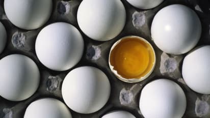 Health Tips : പ്രാതലിൽ ഒരു മുട്ട ഉൾപ്പെടുത്തൂ, ​ഗുണങ്ങളറിയാം