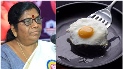 'ബുള്‍സ്ഐ അടക്കമുള്ളവ കഴിക്കരുത്'; പക്ഷിപ്പനിയില്‍ ആശങ്ക വേണ്ട, ജാഗ്രത മതിയെന്ന് മന്ത്രി