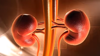 രക്തത്തിലെ ക്രിയാറ്റിനിന്‍ നിങ്ങളുടെ വൃക്കകളെ എങ്ങനെ ബാധിക്കുന്നു? 