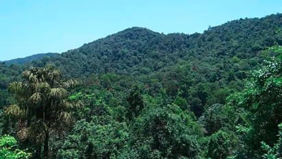 ಕೇರಳ: ಒಂದೇ ಒಂದು ವೋಟಿಗಾಗಿ ದಟ್ಟ ಕಾನನದಲ್ಲಿ 18 ಕಿಲೋ ಮೀಟರ್ ನಡೆದ ಚುನಾವಣಾ ಸಿಬ್ಬಂದಿ