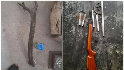 വീട്ടിൽ ആയുധ ശേഖരമെന്ന് രഹസ്യ വിവരം; റെയ്ഡില് കണ്ടെത്തിയത് മാൻകൊമ്പും എയർഗണ്ണും, യുവാവ് അറസ്റ്റിൽ