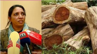 സുഗന്ധ ഗിരി മരം മുറി കേസ്: സൗത്ത് വയനാട് ഡിഎഫ്ഒ എ.ഷജ്‌നയെ വിശദീകരണം ചോദിക്കാതെ കാസ‍ര്‍കോടേക്ക് സ്ഥലംമാറ്റി