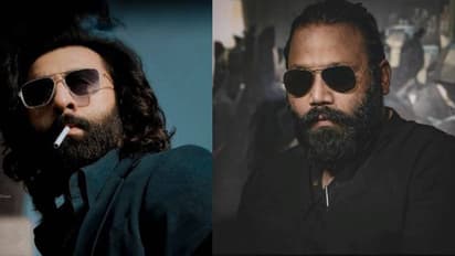 ഐഎഎസ് എഴുതി എടുക്കുന്നതിനേക്കാള്‍ പാടാണ് സിനിമ സംവിധാനം: അനിമല്‍ സംവിധായകന്‍ വംഗ