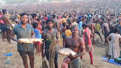 சிவகங்கையில் கோலாகலமாக நடைபெற்ற மீன்பிடி திருவிழா; மழை வேண்டி வினோத வழிபாடு