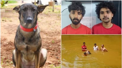 2 പേരുടെ വസ്ത്രം മണപ്പിച്ച പിങ്കി അനങ്ങിയില്ല, പക്ഷേ മജീദിന്റെ തൊപ്പിയിലെ മണം തിരിച്ചറിഞ്ഞു! പിന്നെ വഴികാട്ടി