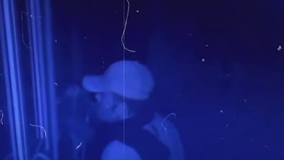 സ്ലൈഡിങ് ഡോർ തകർത്ത് അകത്ത് കയറി; സംവിധായകൻ ജോഷിയുടെ വീട്ടിലെ മോഷണം, സിസിടിവി ദൃശ്യങ്ങൾ പൊലീസിന് കിട്ടി