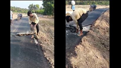 பெயர்ந்து வரும் புதிய தார் சாலை! திருப்பத்தூர் அருகே 2 கி.மீ. தூரத்துக்கு மட்டமான ரோடு... வைரல் வீடியோ!