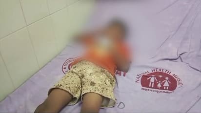 വൈകിട്ട് നാലര മണി, വയനാട്ടിലെ മുഹമ്മദിന്റെ വീടിനകത്തേക്ക് അതിവേഗം ഓടിക്കയറി കാട്ടുപന്നി, 3 പേര്ക്ക് പരിക്ക്