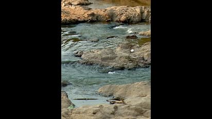 கோவையில் தடுப்பணையில் மூழ்கிய 3 சிறார்கள்; வெப்பம் தாங்காமல் நீர் நிலைக்கு சென்றபோது சோகம்