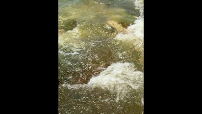 கோடை வெப்பத்தை தணிக்க பவானி ஆற்றில் இறங்கிய அண்ணன், தம்பி பிணமாக மீட்பு - பாட்டி வீட்டுக்கு வந்த போது சோகம்