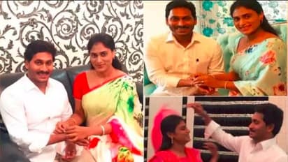 ಹಾವು ಮುಂಗುಸಿಯಂತಾಡುವ ಅಣ್ಣ ತಂಗಿ ಜಗನ್, ಶರ್ಮಿಳಾ: ಅಣ್ಣ ಅತ್ತಿಗೆ ಬಳಿ ಪಡೆದ ಸಾಲ ಒಂದೆರಡು ಕೋಟಿ ಅಲ್ಲ!