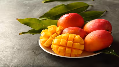 Mango Mania: 6 Delicious recipes for savoring the sweetness of summer!