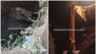 തൃശൂരില് കാട്ടാന കിണറ്റില് വീണു; രക്ഷാദൗത്യം തുടങ്ങി, ജെസിബിയെത്തി മണ്ണ് നീക്കുന്നു