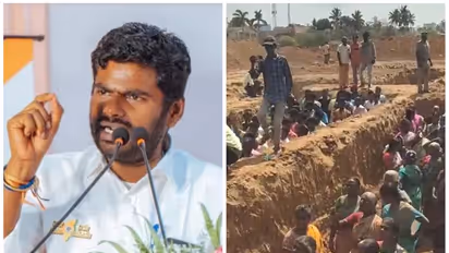 Annamalai: வாலை சுருட்டிக் கொண்டிருந்த திமுக மீண்டும் முருங்கை மரம் ஏறியிருக்கிறது - அண்ணாமலை காட்டம்