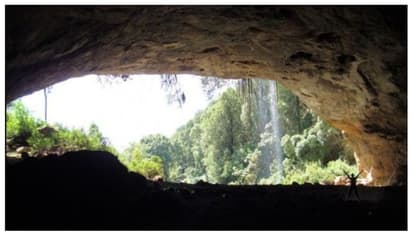 കിറ്റം ഗുഹകള്‍ മനുഷ്യ വംശത്തിന് ഭീഷണിയോ? ആശങ്കയോടെ ലോകം 