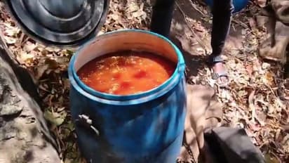 കാട്ടിനുള്ളിൽ പണി തകൃതിയെന്ന് വിവരം, എക്സൈസ് സംഘം കാടുകയറി, 10 കിമീ താണ്ടി; പിടികൂടിയത് 3400 ലിറ്റര് വാഷ്