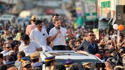 രാഹുല്‍ ഗാന്ധി മുതല്‍ ഹേമ മാലിനി വരെ; രണ്ടാംഘട്ടത്തിലെ ശ്രദ്ധേയമായ അഞ്ച് സ്ഥാനാര്‍ഥികള്‍