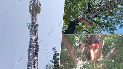 Dramatic scenes at Jantar Mantar: Tamil Nadu farmers climb trees, mobile towers in protest; Here's why (WATCH)
