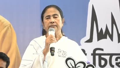 நான் சமைத்துத் தருகிறேன்... மீன் கறி சாப்பிடுவாரா மோடி? மம்தா பானர்ஜி கேள்வி