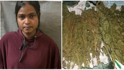 நண்பனுக்காக வீட்டில் உயர்ரக கஞ்சாவை பதுக்கிவைத்த பெண் ஐடி ஊழியர்.. தட்டித்தூக்கிய போலீஸ்