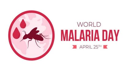 World Malaria Day 2025: ಮಲೇರಿಯಾದಲ್ಲಿ ಎಷ್ಟು ವಿಧಗಳಿವೆ?, ಲಕ್ಷಣಗಳು, ಕಾರಣಗಳು ಮತ್ತು ಚಿಕಿತ್ಸೆಯ ವಿವರ