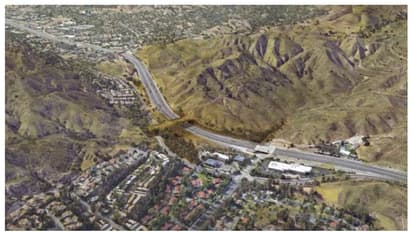 മൃഗങ്ങൾക്കും വഴി നടക്കണം;  ഹൈവേ പൂട്ടിയിട്ട് വാഹനങ്ങള്‍ തടഞ്ഞ് ലൊസാഞ്ചലസ്