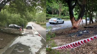 അമിതവേഗം, ഇലക്ട്രിക് കാർ മറിഞ്ഞ് തീപിടിച്ചു; നാലംഗ മലയാളി കുടുംബത്തിന് കാലിഫോർണയിൽ ദാരുണാന്ത്യം