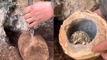 സ്വർണ്ണാഭരണങ്ങൾ കുഴിച്ചെടുക്കുന്ന നിധിവേട്ടക്കാരൻ, വീഡിയോ വൈറൽ 