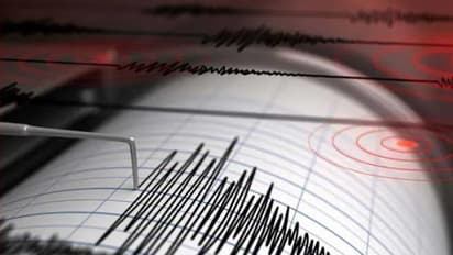 Earthquake of magnitude 6.5 strikes Japan's Bonin Islands, tremors felt in Tokyo; no tsunami warnings issued