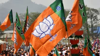 bjp flag