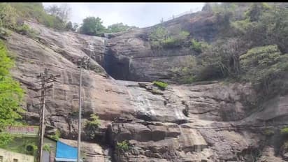 courtallam : கொளுத்தும் வெயில்...குற்றாலத்திற்கு செல்லலாமா.? அருவிகளில் தண்ணீர் விழுகிறதா.? கள நிலவரம் இதோ...