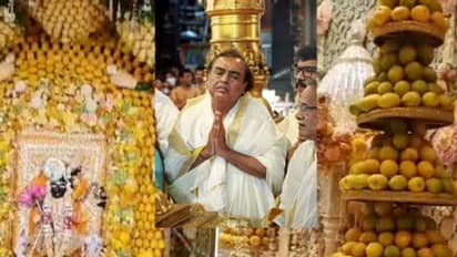 ಅಂಬಾನಿ ಮನೆಯಲ್ಲಿ ನಡೆಯುತ್ತೆ ಆಮ್ ಮನೋರತ್; ಮಾವಿನಹಣ್ಣಿನ ಈ ಸಂಪ್ರದಾಯದಿಂದಲೇ ಶ್ರೀಮಂತಿಕೆ ಹೆಚ್ಚುತಿದ್ಯಾ?