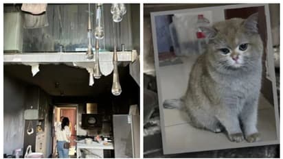 പൂച്ചയുടെ അശ്രദ്ധയിൽ കത്തിനശിച്ചത് വീടിന്‍റെ പാതി; എന്നിട്ടും ഉടമയുടെ കൂസലില്ലായ്മയിൽ അന്തിച്ച് സോഷ്യല്‍ മീഡിയ