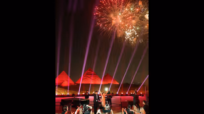 WWE ರೆಸ್ಲರ್ ಎರಿಕಾ ಹ್ಯಾಮಂಡ್  ಮದ್ವೆಯಾದ ಟೆಕ್ ಬಿಲಿಯನೇರ್ ಅಂಕುರ್ ಜೈನ್ 