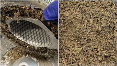 ഉദ്യോഗസ്ഥര്‍ക്ക് സംശയം, വിശദ പരിശോധന; യാത്രക്കാരി കുടുങ്ങി, വിദഗ്ധമായി ഒളിപ്പിച്ച 4.25 കിലോ കഞ്ചാവ് പിടികൂടി