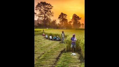 ಭಾರತದ ಅತಿ ದೀರ್ಘಾವಧಿಯ ಟಿವಿ ಶೋ ಯಾವುದು ಗೊತ್ತಾ? 57 ವರ್ಷಗಳ ನಿರಂತರ ಪ್ರಸಾರ!