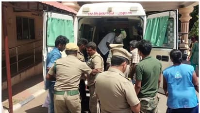 വരയാടുകളുടെ സർവേക്കെത്തിയ 2 ഉദ്യോ​ഗസ്ഥർക്ക് കാട്ടുപോത്തിന്റെ ആക്രമണത്തിൽ പരിക്കേറ്റു