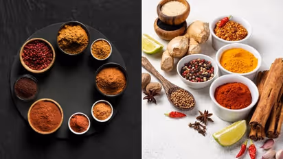 European Union's food safety shares list of cancer-causing chemicals, 527 Indian items included