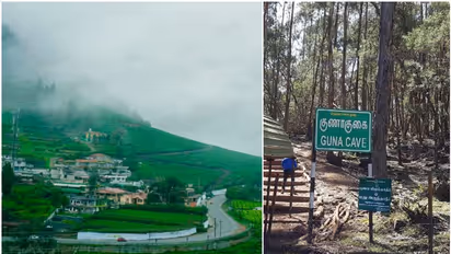 രണ്ട് മാസത്തേക്ക് ഊട്ടി, കൊടൈക്കനാല്‍ യാത്രകള്‍ക്ക് നിയന്ത്രണം; പ്രവേശിക്കണമെങ്കിൽ ഇനി പാസ്