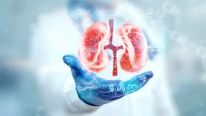 ഈ എട്ട് കാര്യങ്ങള് ശ്രദ്ധിച്ചാല് മതി, വൃക്കകളുടെ ആരോഗ്യം സംരക്ഷിക്കാം