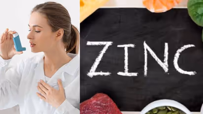 Health Tips: ആസ്ത്മ നിയന്ത്രിക്കാൻ സഹായിക്കുന്ന സിങ്ക് അടങ്ങിയ ഒമ്പത് ഭക്ഷണങ്ങൾ