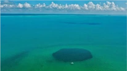 രഹസ്യമൊളിപ്പിച്ച കടൽ, ഒടുവിൽ കണ്ടെത്തി ശാസ്ത്രജ്ഞർ, താം ജാ ബ്ലൂ ഹോള്, 1300 അടി ആഴമുള്ള നീലക്കുഴി, മഹാത്ഭുതം