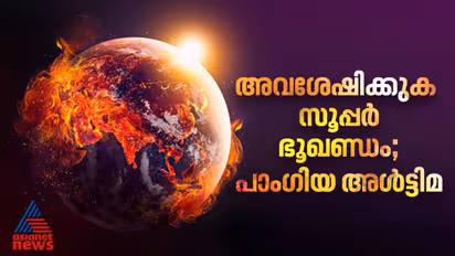 ഭൂമിയില്‍ അവശേഷിക്കുക സൂപ്പര്‍ ഭൂഖണ്ഡം മാത്രം; വരാന്‍ പോകുന്നത് കൂട്ടവംശനാശമെന്ന് പഠനം 