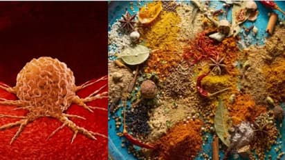 527 ഇന്ത്യൻ ഭക്ഷ്യവസ്തുക്കളിൽ ക്യാൻസറിന് കാരണമാകുന്ന രാസവസ്തുക്കൾ; എന്താണ് എഥിലീൻ ഓക്സൈഡ്?