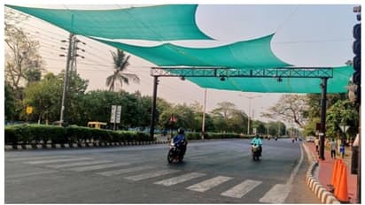 പൊള്ളുന്ന വെയിലല്ലേ വെയിലത്ത് വാടല്ലേ; ട്രാഫിക് സിഗ്നലിൽ 'പച്ച വിരിച്ച' പിഡബ്ല്യു വകുപ്പിന് അഭിനന്ദനം