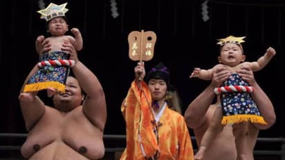 ഗുസ്തിക്കാർ കുഞ്ഞുങ്ങളെ കരയിപ്പിക്കും, കൂടുതല് കരഞ്ഞാല് വിജയി, 400 വർഷം പഴക്കമുള്ള 'ക്രയിംഗ് ബേബി സുമോ'